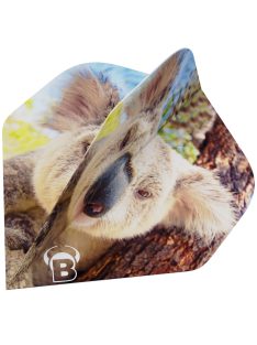BULL'S DARTS TOLL Koala