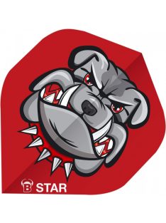 Bull's Darts toll B-Star 