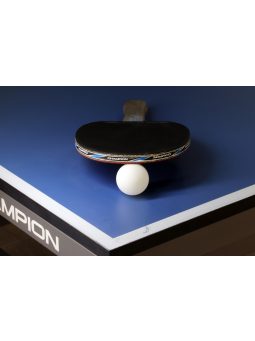 Pingpong